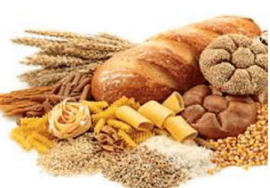 How to Support Your Body with Asthma Healthy Cure Naturopath Enterprise Fitness Functional Health Practitioner Kristine Ottobre Best Melbourne Personal Trainers